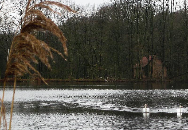 Winterwandeling-Kiewit (36).jpg